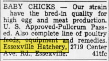Essexville Hatchery - May 1952 Ad (newer photo)